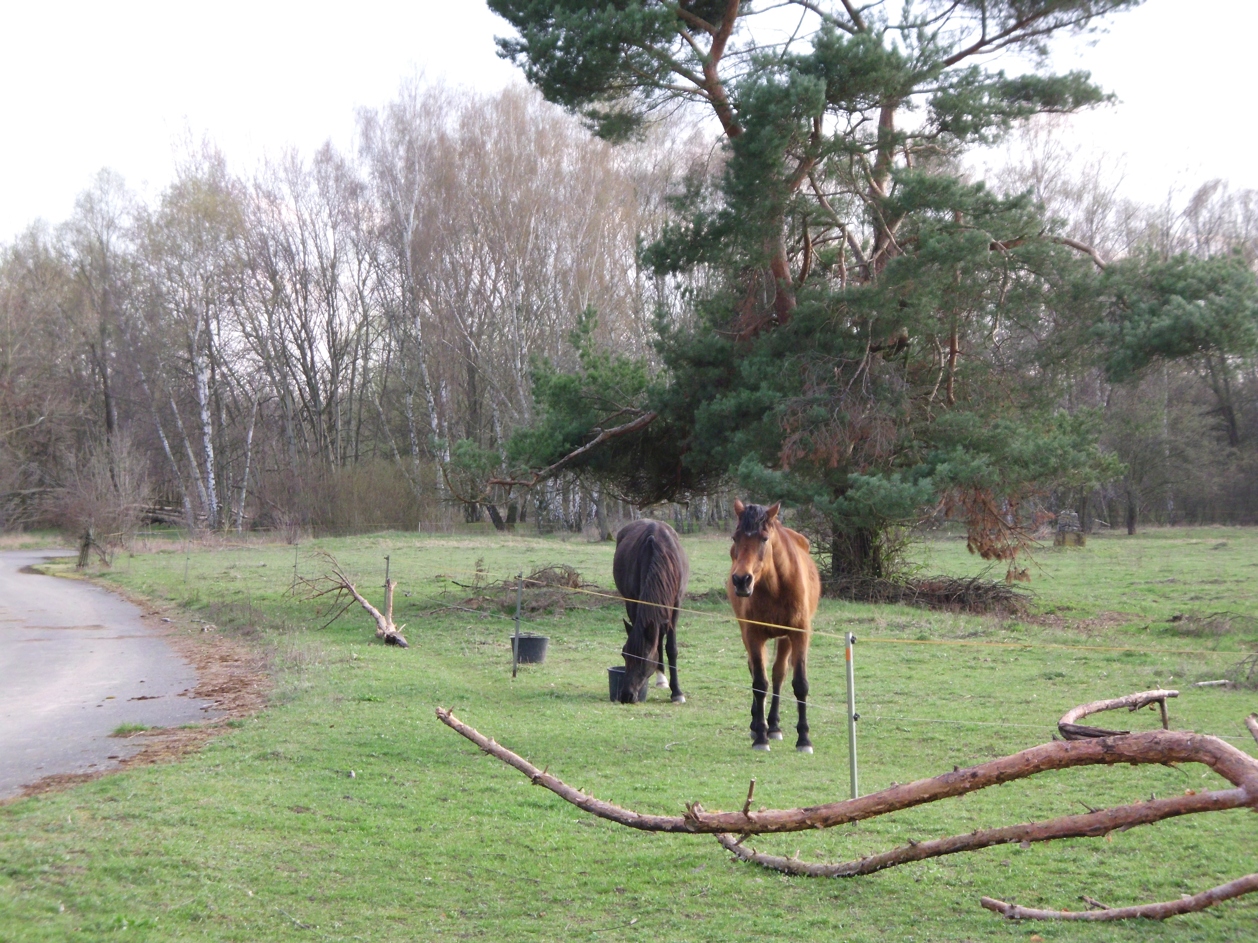 StadtspaziergangLiSüd (26)